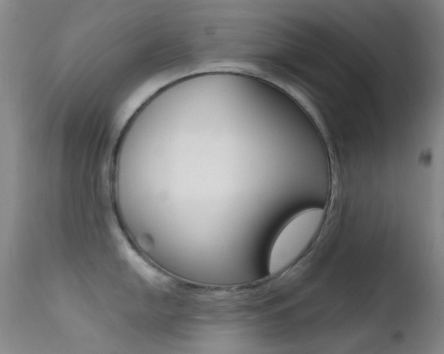 X0000113201054200909100917