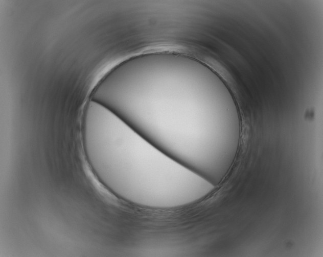 X0000113201055200909100917
