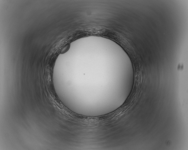 X0000113201058200909100917