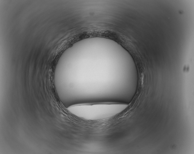 X0000113201059200909100917