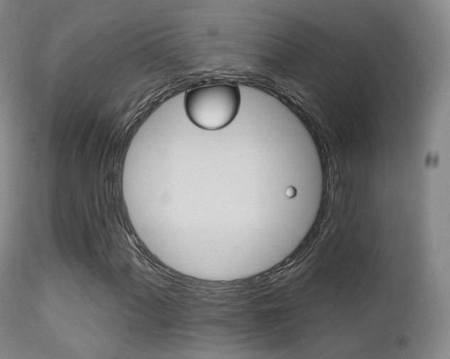 X0000113201060200909100917