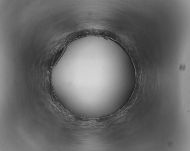 X0000113201061200909100917