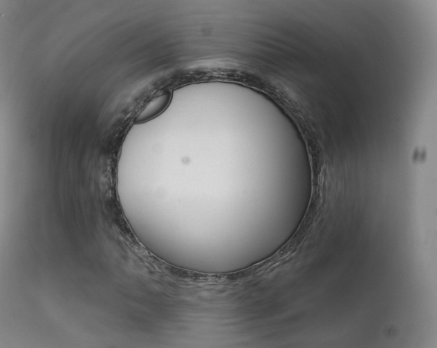 X0000113201062200909100917