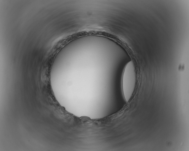 X0000113201063200909100917