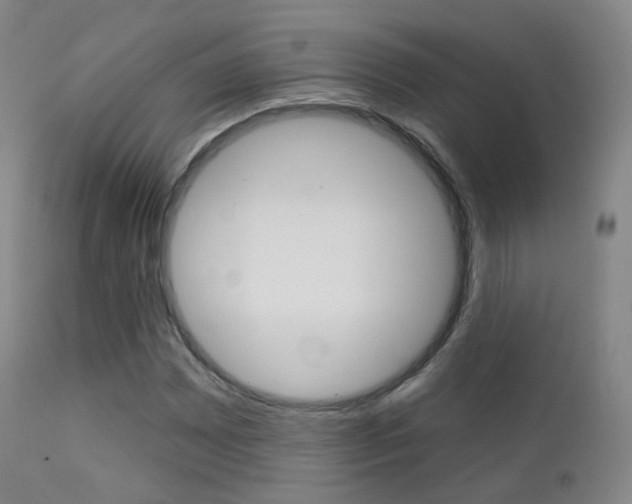 X0000113201065200909100917