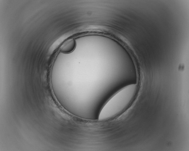 X0000113201066200909100917