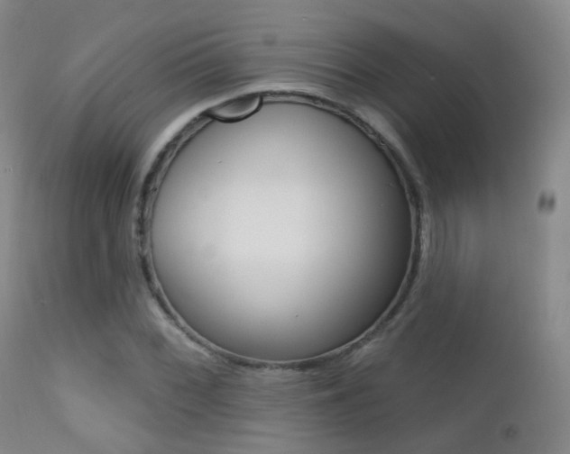 X0000113201068200909100917