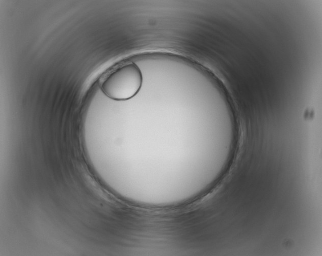 X0000113201069200909100917