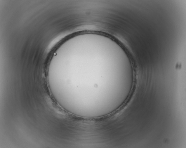 X0000113201070200909100916