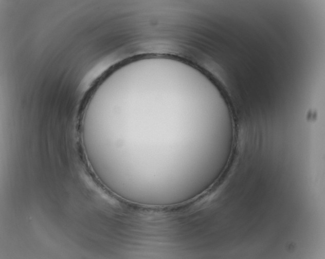 X0000113201071200909100916