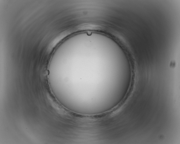 X0000113201073200909100916