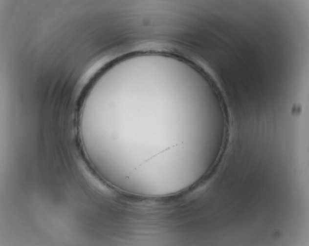 X0000113201075200909100916