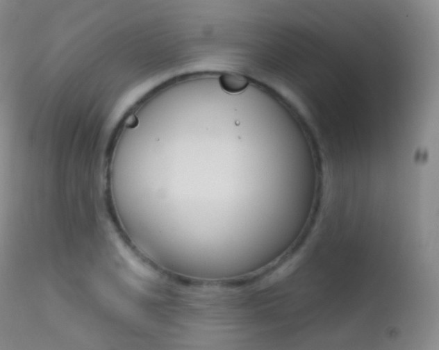 X0000113201077200909100916