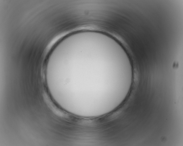 X0000113201078200909100916
