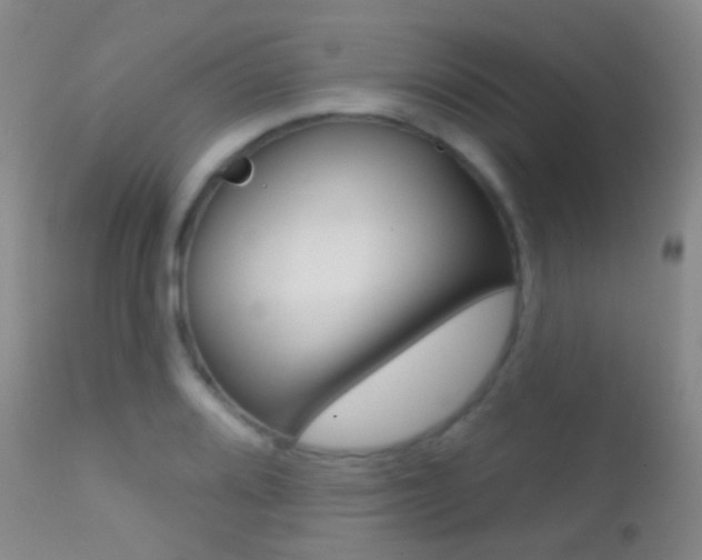 X0000113201080200909100916