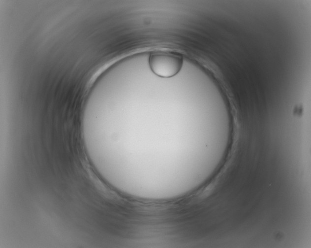 X0000113201081200909100916