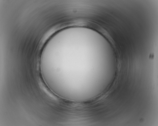 X0000113201083200909100916