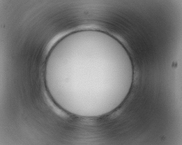 X0000113201086200909100916