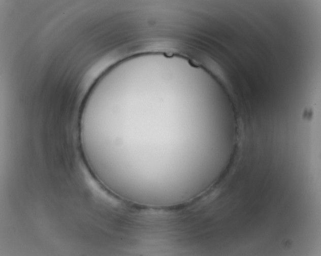 X0000113201087200909100916