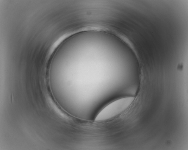 X0000113201091200909100916
