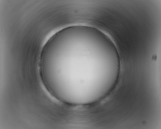 X0000113201093200909100916