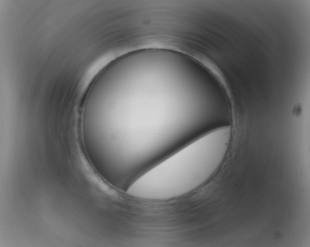 X0000113201096200909100916