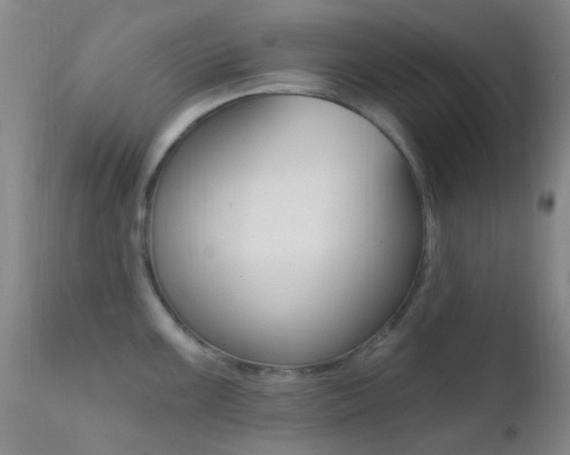 X0000113201099200909100916