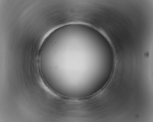X0000113201100200909100916