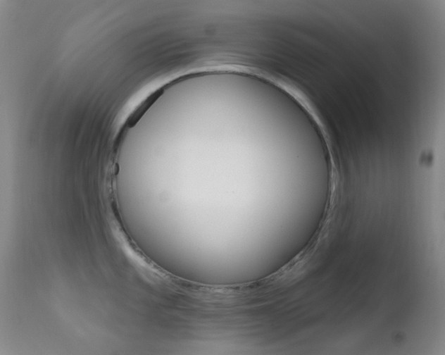 X0000113201101200909100916