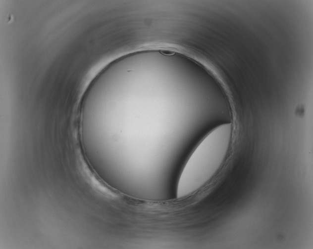 X0000113201102200909100916
