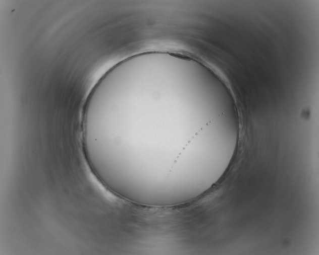 X0000113201103200909100916