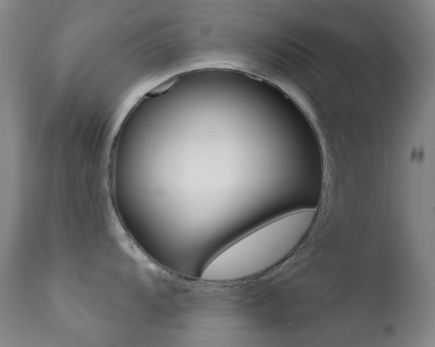 X0000113201104200909100916