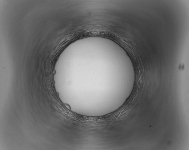 X0000113201105200909100915