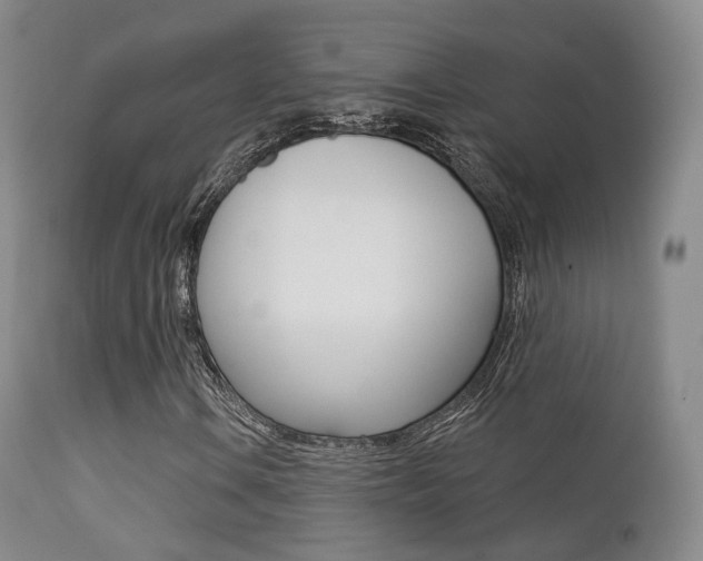 X0000113201106200909100915