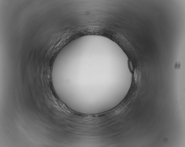 X0000113201107200909100915