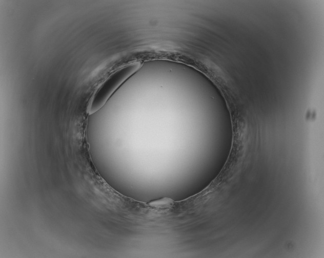 X0000113201110200909100915