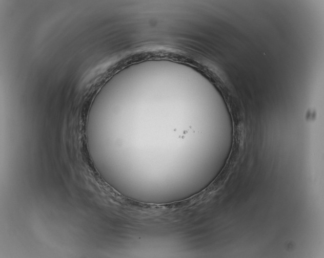 X0000113201111200909100915