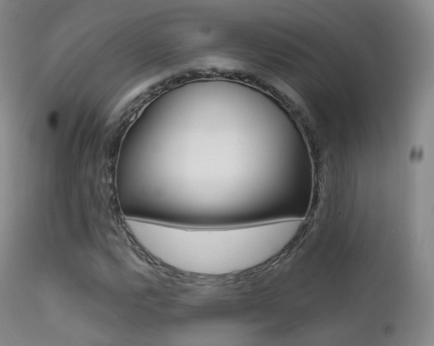 X0000113201112200909100915