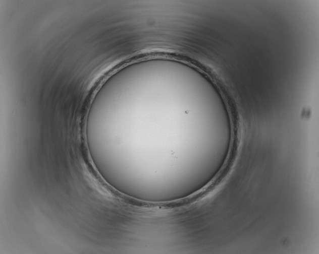 X0000113201113200909100915
