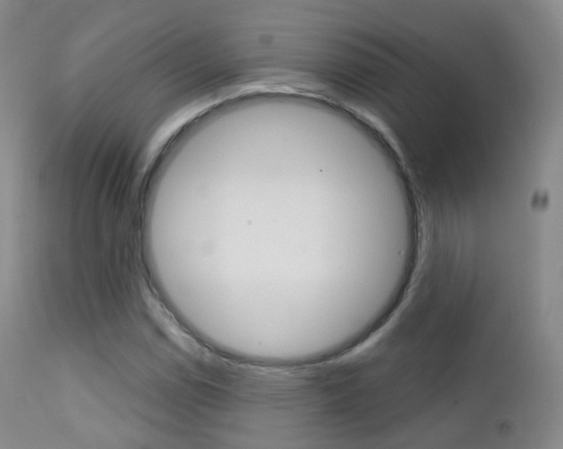X0000113201114200909100916