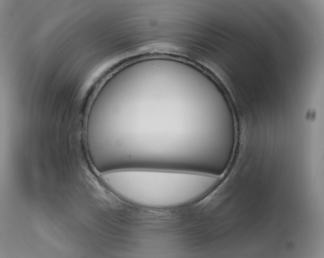 X0000113201115200909100916