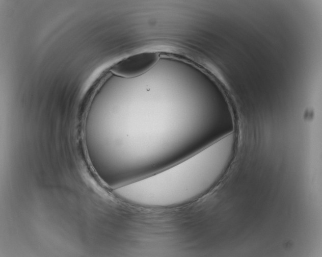 X0000113201116200909100916