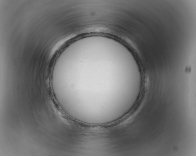 X0000113201117200909100916