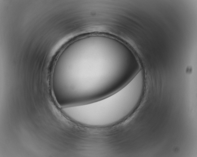 X0000113201118200909100916