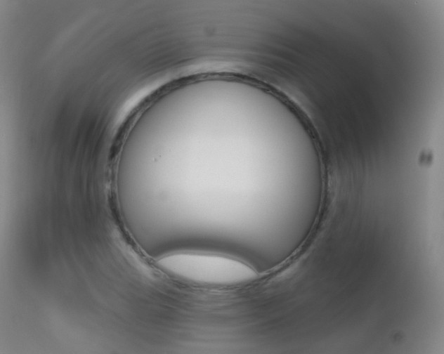 X0000113201119200909100916