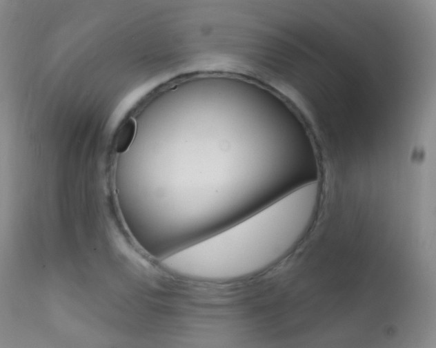 X0000113201120200909100916