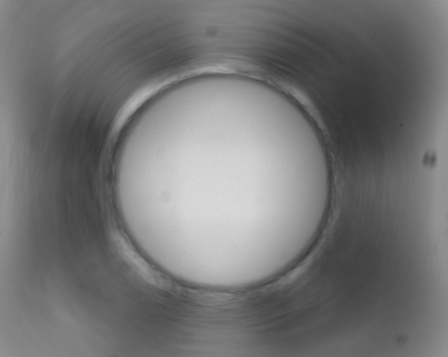 X0000113201122200909100916
