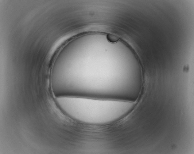 X0000113201123200909100916