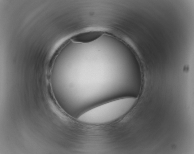 X0000113201124200909100916