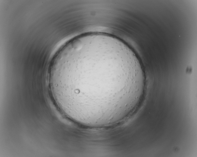 X0000113201125200909100916